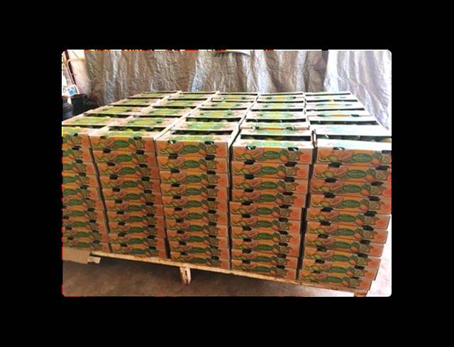 FARM FOR SALE IN LOUIS TRICHARDT